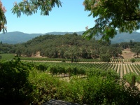 Joseph Phelps winery view 1.jpg